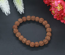 Load image into Gallery viewer, 5 Mukhi Rudraksha Bracelet