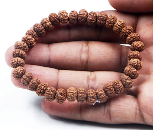 6 Mukhi Rudraksha Bracelet