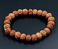 Load image into Gallery viewer, 7 Mukhi Rudraksha Bracelet