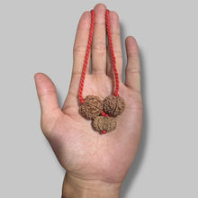 Load image into Gallery viewer, Rudraksha kavach for attraction &amp; Luxury