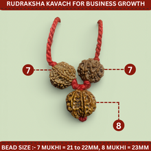 Load image into Gallery viewer, Business Rudraksha Kavach for Male - Rudradhyay