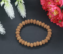 Load image into Gallery viewer, 7 Mukhi Rudraksha Bracelet