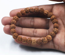 Load image into Gallery viewer, 8 Mukhi Rudraksha Bracelet