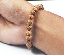 Load image into Gallery viewer, 8 Mukhi Rudraksha Bracelet