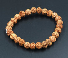 Load image into Gallery viewer, 8 Mukhi Rudraksha Bracelet