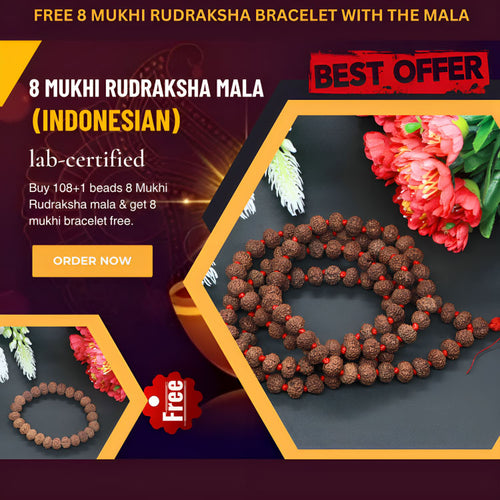 8 Mukhi Rudraksha Mala - Rudradhyay