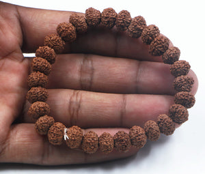 10 Mukhi Rudraksha Bracelet