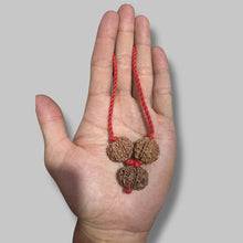 Load image into Gallery viewer, Business Rudraksha Kavach for Female