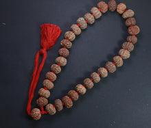 Load image into Gallery viewer, 32+1 Beads 9 Mukhi Nepali Rudraksha Kantha