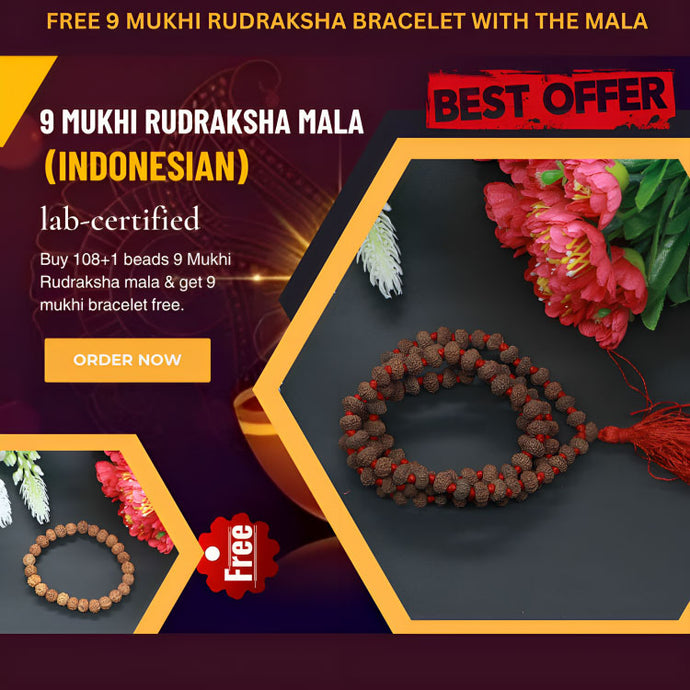 9 Mukhi Rudraksha Mala - Rudradhyay