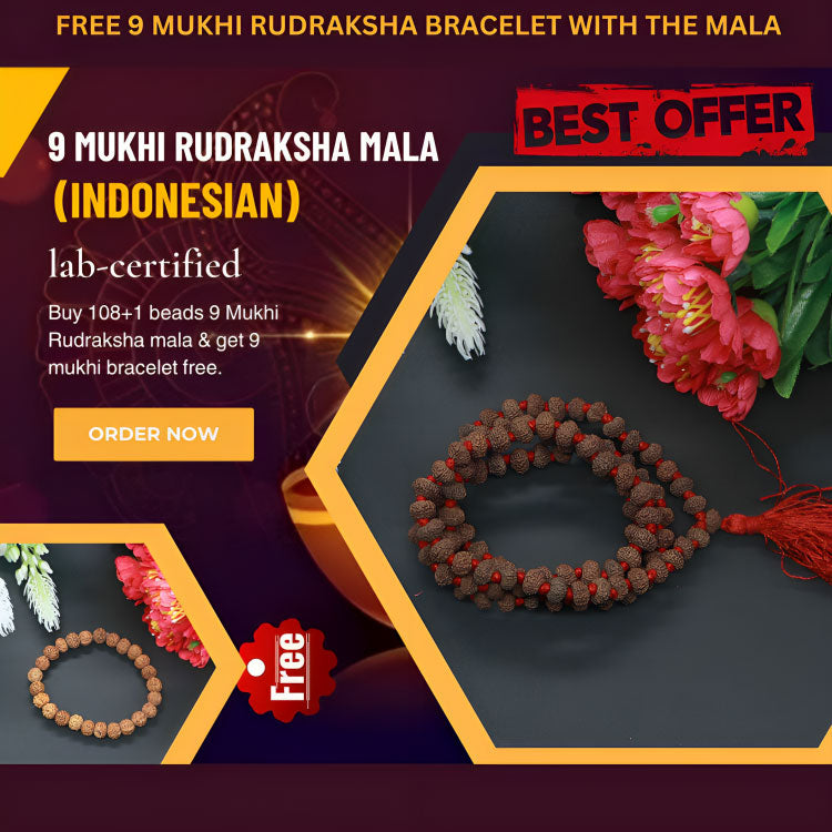 9 Mukhi / Nine Faced Original Rudraksha Bead with Lab Certificate