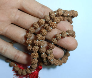 5 mukhi rudraksha mala with 108+1 beads - Rudradhyay