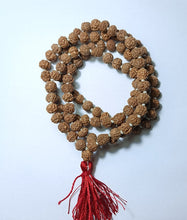 Load image into Gallery viewer, 5 mukhi rudraksha mala with 108+1 beads - Rudradhyay