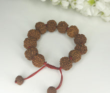 Load image into Gallery viewer, 7 Mukhi Rudraksha Bracelet - Nepali