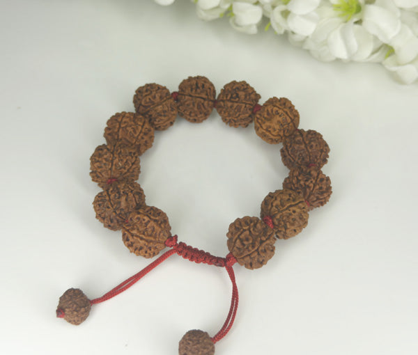 7 Mukhi Rudraksha Bracelet - Nepali