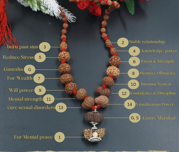 1 to 14 Mukhi combination(Indonesian beads)