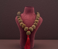 Load image into Gallery viewer, 32+1 Beads 7 Mukhi Nepali Rudraksha Kantha - Rudradhyay