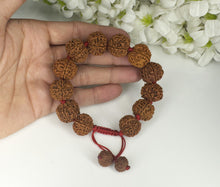 Load image into Gallery viewer, 7 Mukhi Rudraksha Bracelet - Nepali