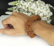 Load image into Gallery viewer, 7 Mukhi Rudraksha Bracelet - Nepali