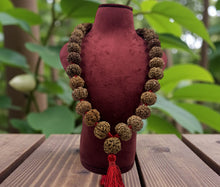 Load image into Gallery viewer, 32+1 Beads 7 Mukhi Nepali Rudraksha Kantha - Rudradhyay