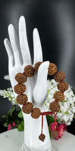 Load image into Gallery viewer, 7 Mukhi Rudraksha Bracelet - Nepali