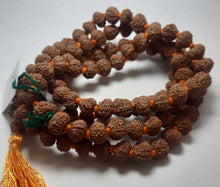 Load image into Gallery viewer, 11 Mukhi Rudraksha mala(Indonesian Beads) - Rudradhyay