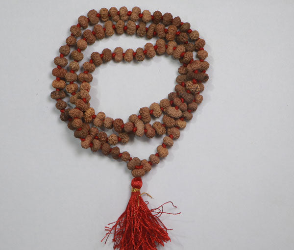 14 Mukhi Rudraksha Mala - Indonesian