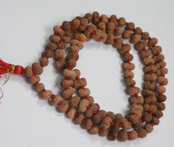 14 Mukhi Rudraksha Mala - Indonesian – Rudradhyay