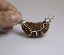 Load image into Gallery viewer, Natural 1 mukhi Rudraksha from India (lab certified) - Rudradhyay