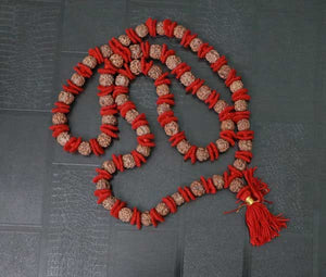 54+1 Beads 3 Mukhi Nepali Rudraksha Kantha