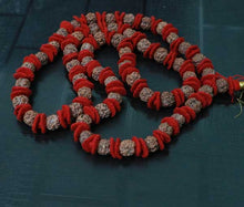 Load image into Gallery viewer, 54+1 Beads 3 Mukhi Nepali Rudraksha Kantha