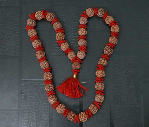 32+1 Beads 4 Mukhi Nepali Rudraksha Kantha