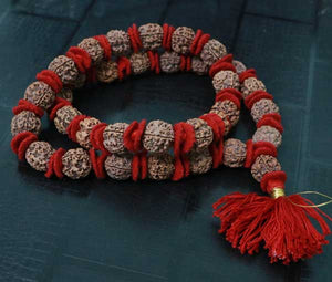 32+1 Beads 4 Mukhi Nepali Rudraksha Kantha