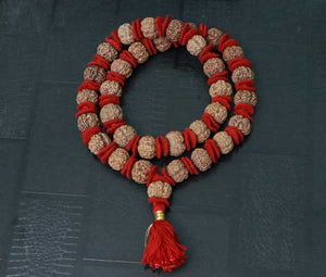 32+1 Beads 5 Mukhi Nepali Rudraksha Kantha