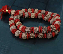 Load image into Gallery viewer, 32+1 Beads 5 Mukhi Nepali Rudraksha Kantha
