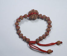 Load image into Gallery viewer, 6 Mukhi Rudraksha - Nepali &amp; Indonesian Beads Combo.