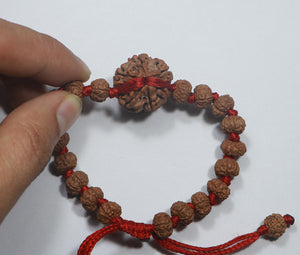 6 Mukhi Rudraksha - Nepali & Indonesian Beads Combo.