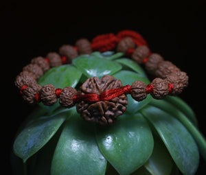 6 Mukhi Rudraksha - Nepali & Indonesian Beads Combo.