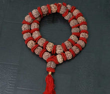 Load image into Gallery viewer, 32+1 Beads 6 Mukhi Nepali Rudraksha Kantha