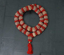 Load image into Gallery viewer, 32+1 Beads 6 Mukhi Nepali Rudraksha Kantha