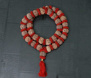 32+1 Beads 6 Mukhi Nepali Rudraksha Kantha