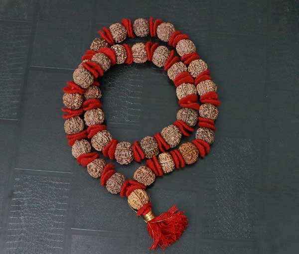 32+1 Beads 7 Mukhi Nepali Rudraksha Kantha