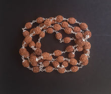 Load image into Gallery viewer, 54+1 beads 4 mukhi Rudraksha mala with Silver capping - Rudradhyay