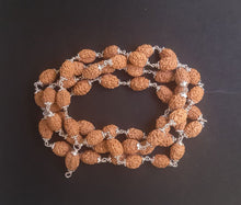 Load image into Gallery viewer, 54+1 beads 3 mukhi Rudraksha mala with silver capping - Rudradhyay