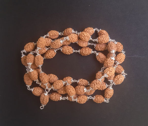 54+1 beads 3 mukhi Rudraksha mala with silver capping - Rudradhyay