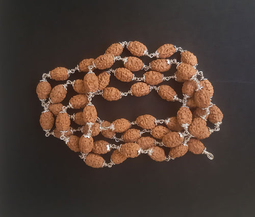54+1 beads 2 mukhi rudraksha mala with silver capping - Rudradhyay