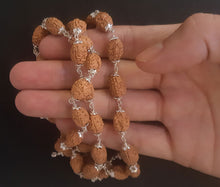 Load image into Gallery viewer, 54+1 beads 2 mukhi rudraksha mala with silver capping - Rudradhyay