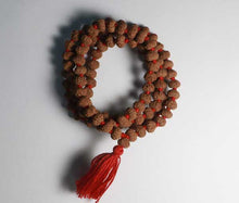 Load image into Gallery viewer, 11 Mukhi Rudraksha mala(Indonesian Beads) - Rudradhyay