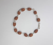 Load image into Gallery viewer, 3 Mukhi Rudraksha Bracelet (Silver) - Rudradhyay