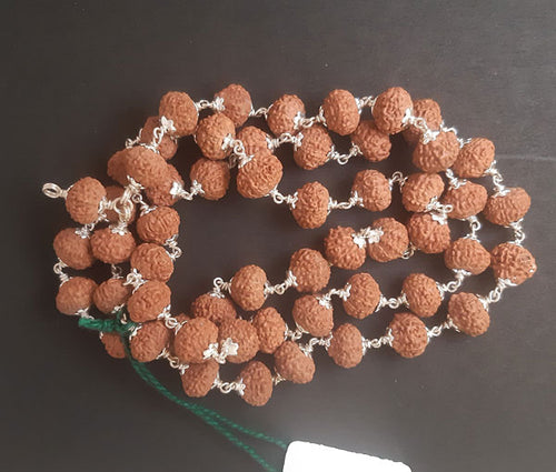 54+1 beads 7 mukhi rudraksha mala with Silver capping - Rudradhyay